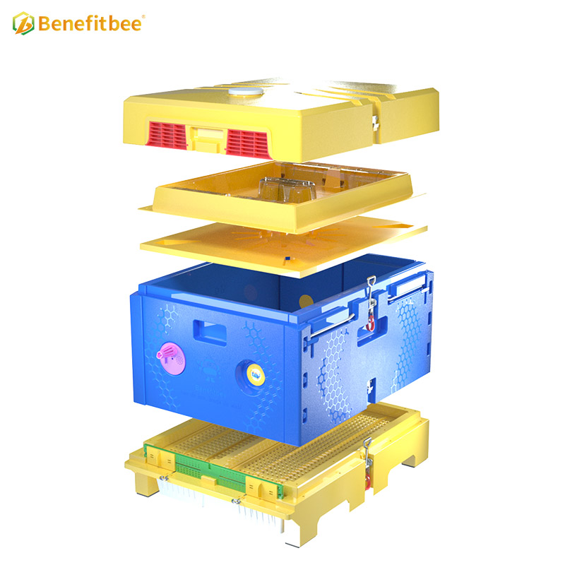 Beekeeping equipment beekeeping langstroth color beehive box