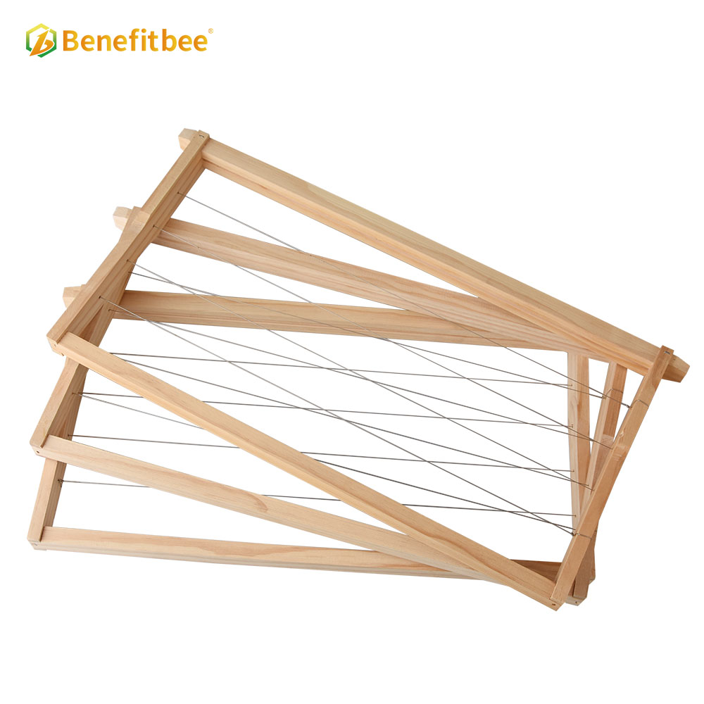 Beekeeping Langstroth wooden beehive frame wired frame