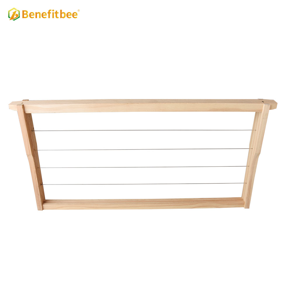 Beekeeping Langstroth wooden beehive frame wired frame