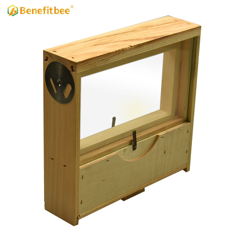 Observation beehive wooden beehive beekeeping transparent bee hive