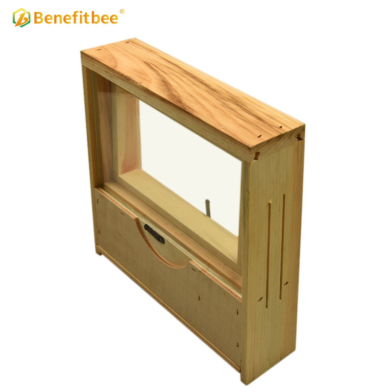 Observation beehive wooden beehive beekeeping transparent bee hive